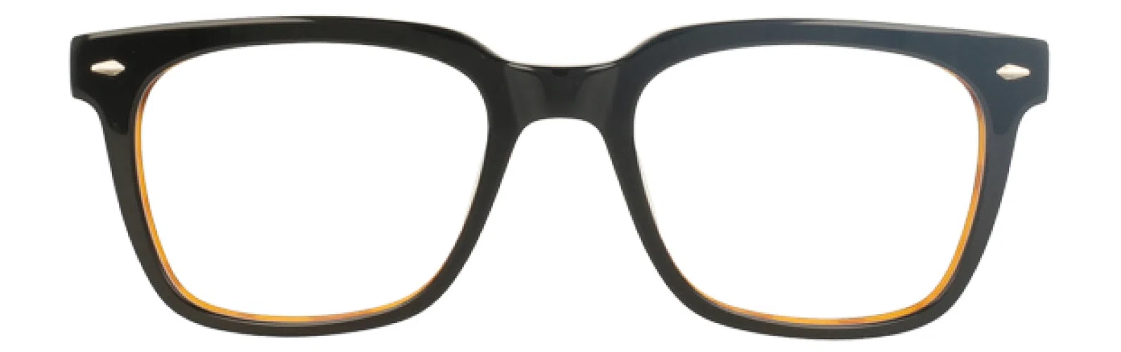 Randy Jackson RJ3075 Eyeglasses - Black/tortoise - view 3